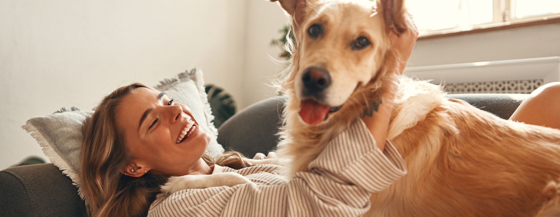 Pet Friendly